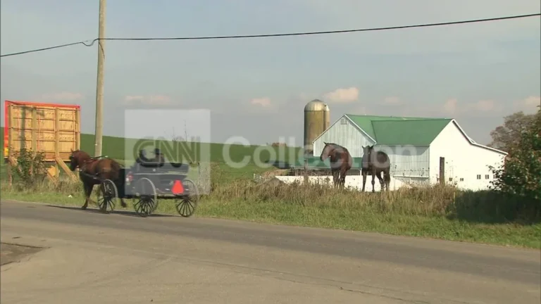Montana horse drawn vehicle and animal rider highway sharing rules