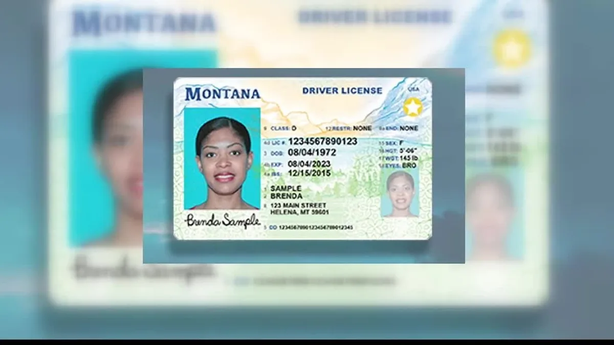 Montana license suspension process