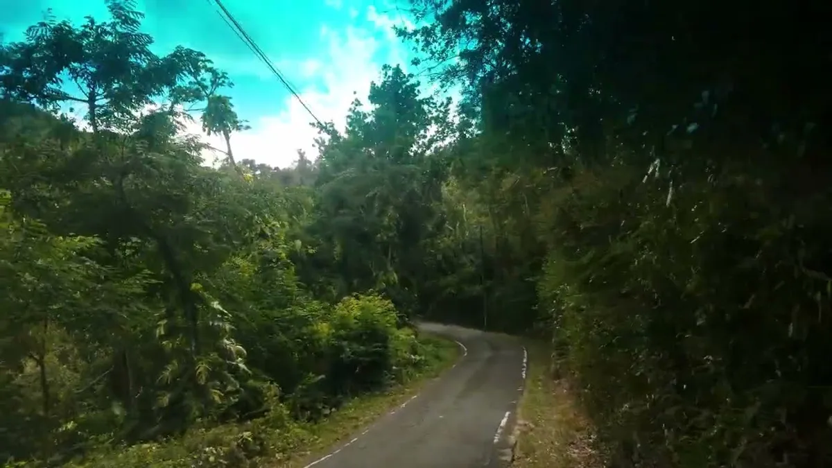 narrow rural road Puerto Rico
