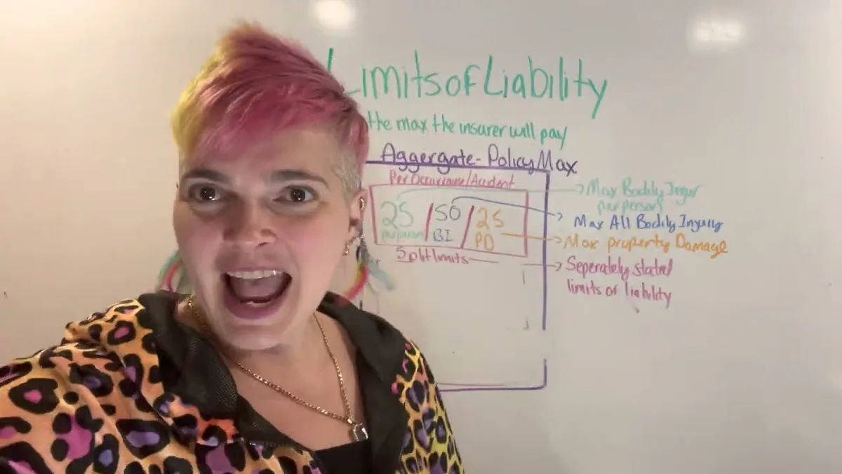New Mexico 25/50/10 liability limits