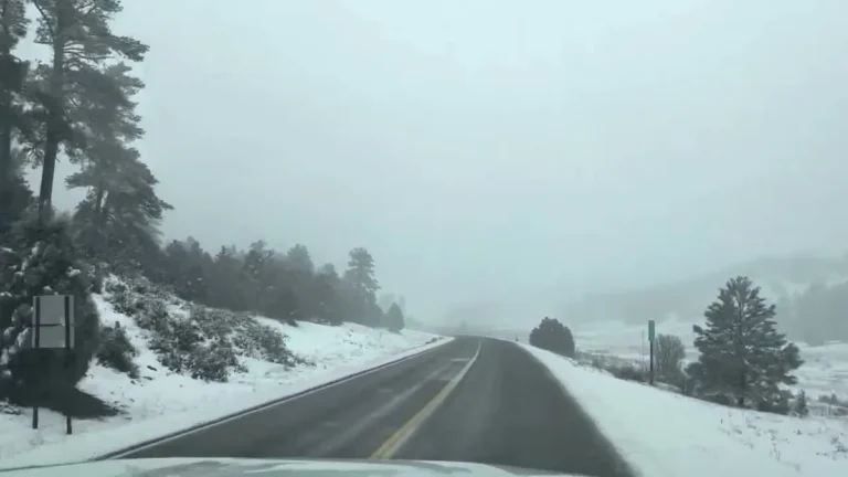 New Mexico winter driving requirements and studded tire regulations