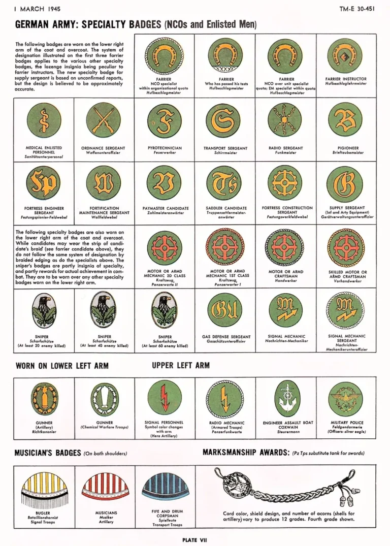 North Carolina vehicle registration plate colors and special designations
