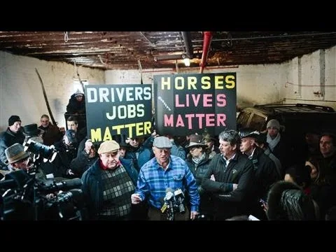 NYC carriage hack license