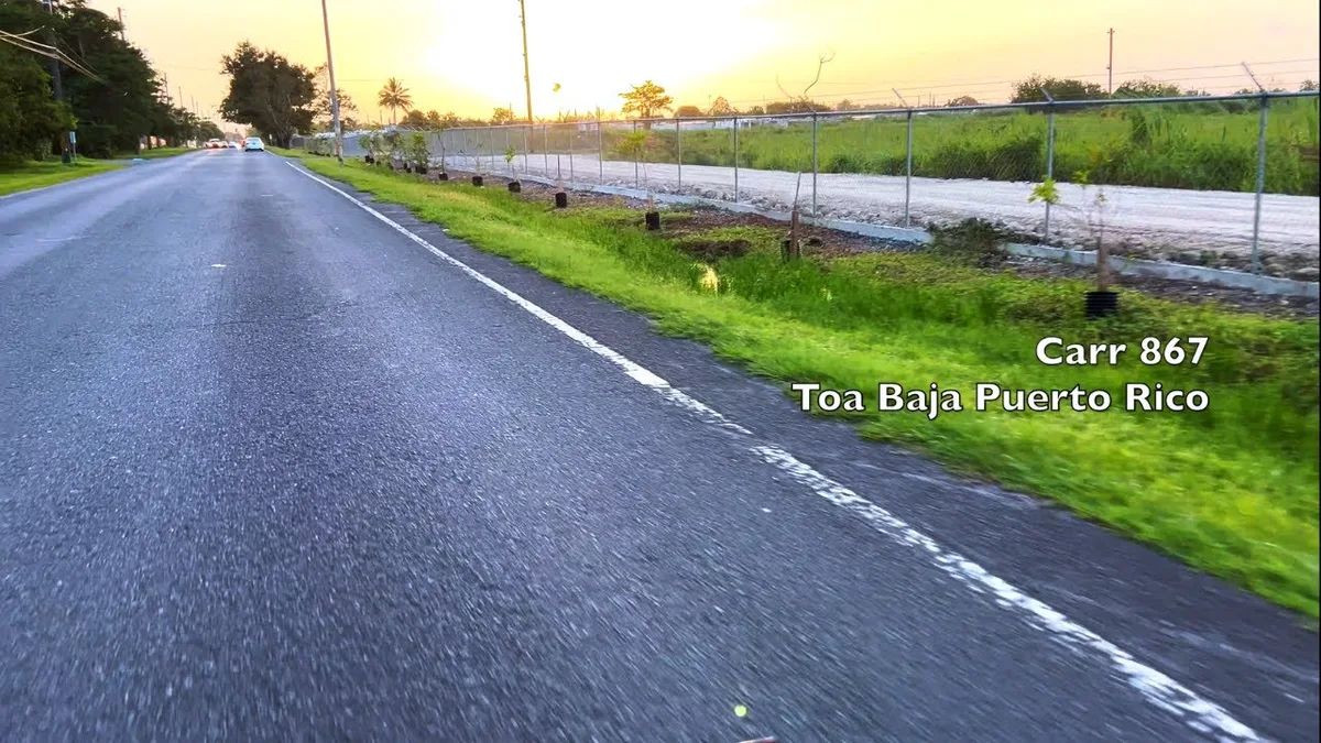 Puerto Rico tropical road motorcycle riding