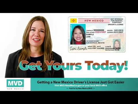 REAL ID vs standard license
