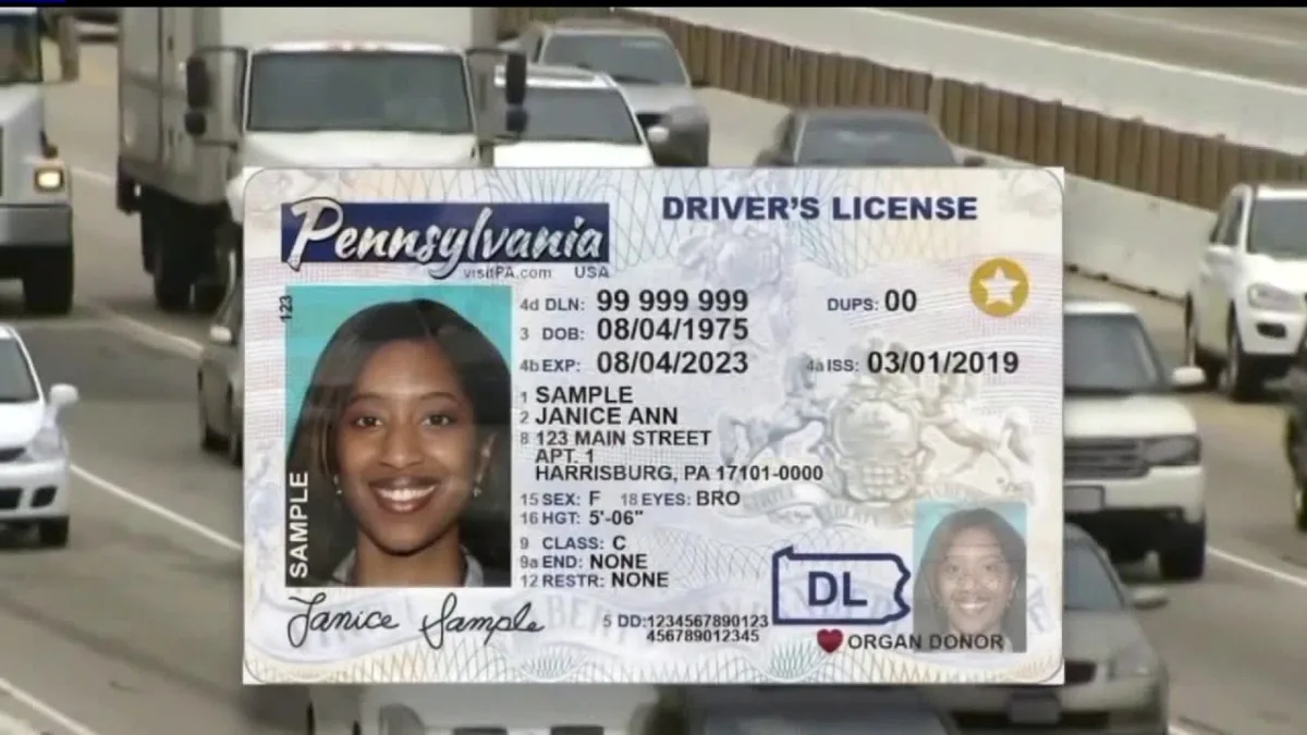 REAL ID vs standard PA license