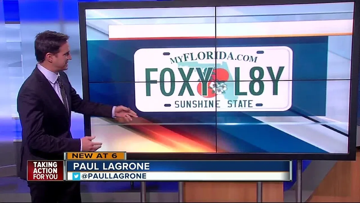 rejected license plate examples