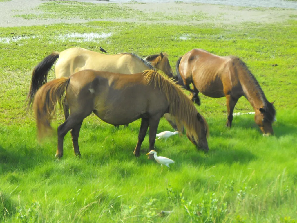 restricted farm vehicle permit