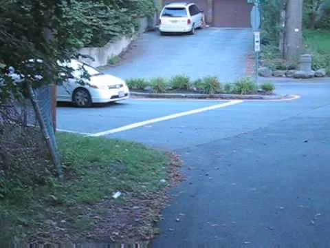 rolling stop violation
