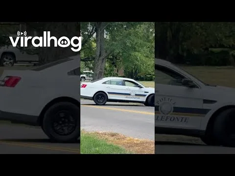 school bus stop law mistake illustration